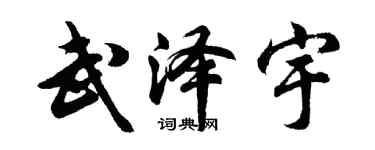 胡問遂武澤宇行書個性簽名怎么寫