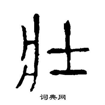 說文解字寫的壯