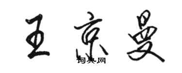 駱恆光王京曼行書個性簽名怎么寫