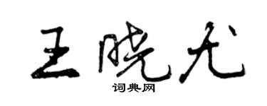 曾慶福王曉尤行書個性簽名怎么寫