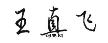 駱恆光王直飛行書個性簽名怎么寫