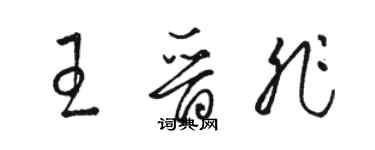 駱恆光王晉非草書個性簽名怎么寫