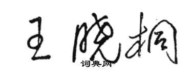 駱恆光王曉桐草書個性簽名怎么寫
