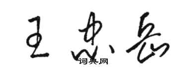 駱恆光王忠岳草書個性簽名怎么寫