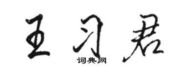 駱恆光王習君行書個性簽名怎么寫