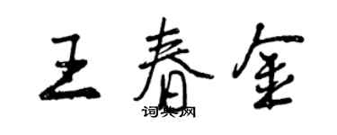 曾慶福王春金行書個性簽名怎么寫