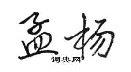 駱恆光孟楊行書個性簽名怎么寫