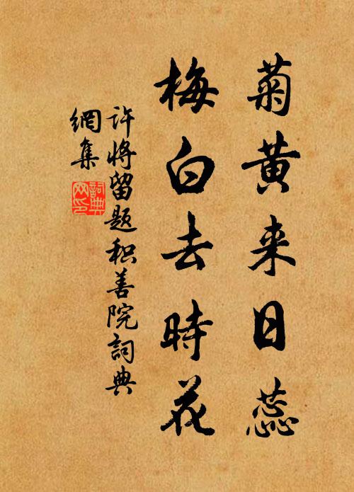 竹聲滿道院，山光入書樓 詩詞名句