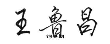駱恆光王魯昌行書個性簽名怎么寫
