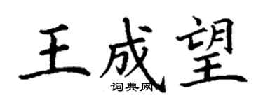 丁謙王成望楷書個性簽名怎么寫