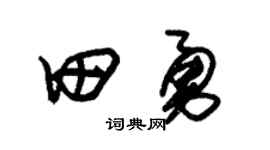 朱錫榮田勇草書個性簽名怎么寫