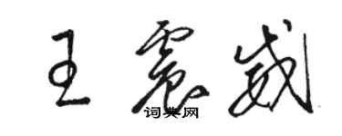 駱恆光王震威草書個性簽名怎么寫