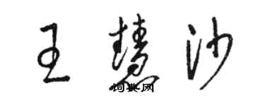 駱恆光王慧沙草書個性簽名怎么寫