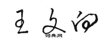 駱恆光王文向草書個性簽名怎么寫