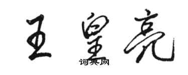 駱恆光王皇亮行書個性簽名怎么寫