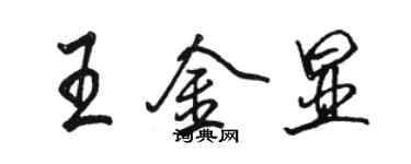 駱恆光王金顯行書個性簽名怎么寫