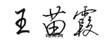 駱恆光王苗霞行書個性簽名怎么寫