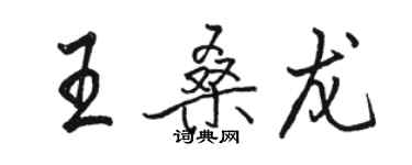 駱恆光王桑龍行書個性簽名怎么寫