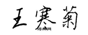 王正良王寒菊行書個性簽名怎么寫