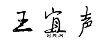 曾慶福王宜聲行書個性簽名怎么寫