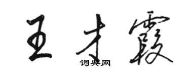 駱恆光王才霞行書個性簽名怎么寫