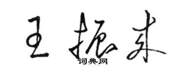 駱恆光王振來草書個性簽名怎么寫