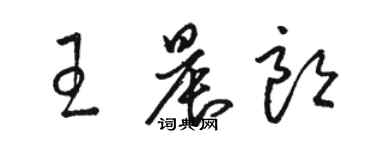 駱恆光王晨朗草書個性簽名怎么寫