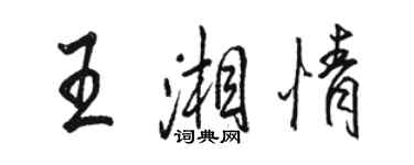 駱恆光王湘情行書個性簽名怎么寫