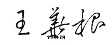 駱恆光王華根草書個性簽名怎么寫