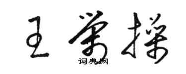 駱恆光王榮操草書個性簽名怎么寫