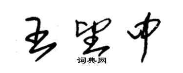 朱錫榮王望中草書個性簽名怎么寫