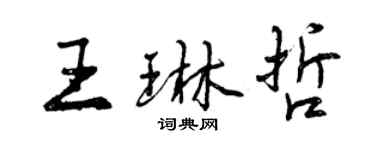 曾慶福王琳哲行書個性簽名怎么寫