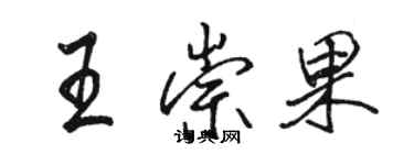 駱恆光王崇果行書個性簽名怎么寫