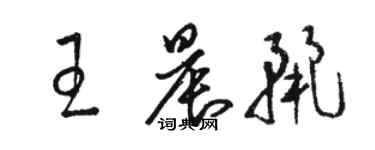 駱恆光王晨麗草書個性簽名怎么寫