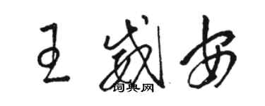 駱恆光王威安草書個性簽名怎么寫