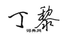 駱恆光丁黎行書個性簽名怎么寫