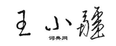 駱恆光王小疆草書個性簽名怎么寫