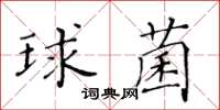 黃華生球菌楷書怎么寫