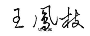 駱恆光王鳳枝草書個性簽名怎么寫