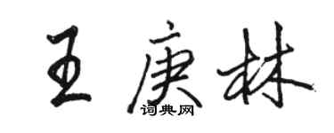 駱恆光王庚林行書個性簽名怎么寫