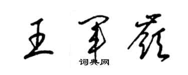 梁錦英王軍嶺草書個性簽名怎么寫