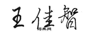 駱恆光王佳智行書個性簽名怎么寫
