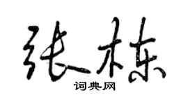 曾慶福張棟行書個性簽名怎么寫