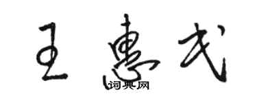 駱恆光王惠民草書個性簽名怎么寫