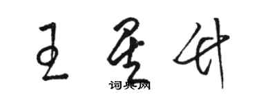 駱恆光王星竹草書個性簽名怎么寫