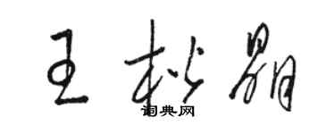 駱恆光王楷晶草書個性簽名怎么寫