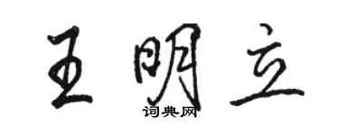 駱恆光王明立行書個性簽名怎么寫