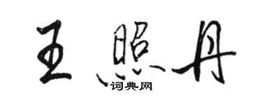 駱恆光王照丹行書個性簽名怎么寫