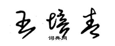 朱錫榮王培青草書個性簽名怎么寫