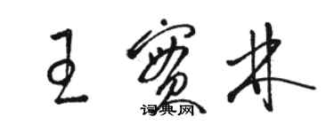 駱恆光王實林草書個性簽名怎么寫